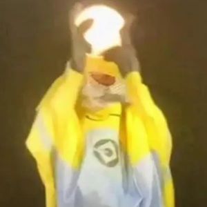 Meet your Posher, divine